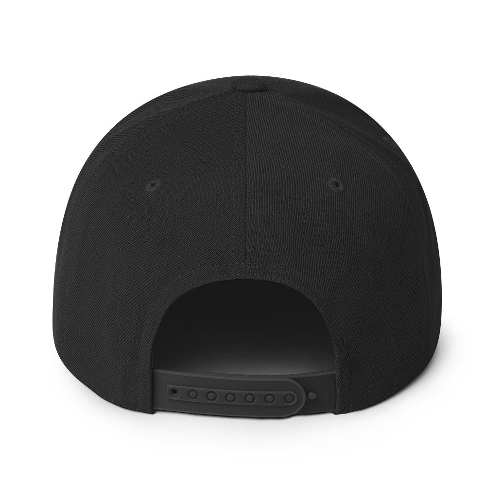 DANKO : Snapback Hat