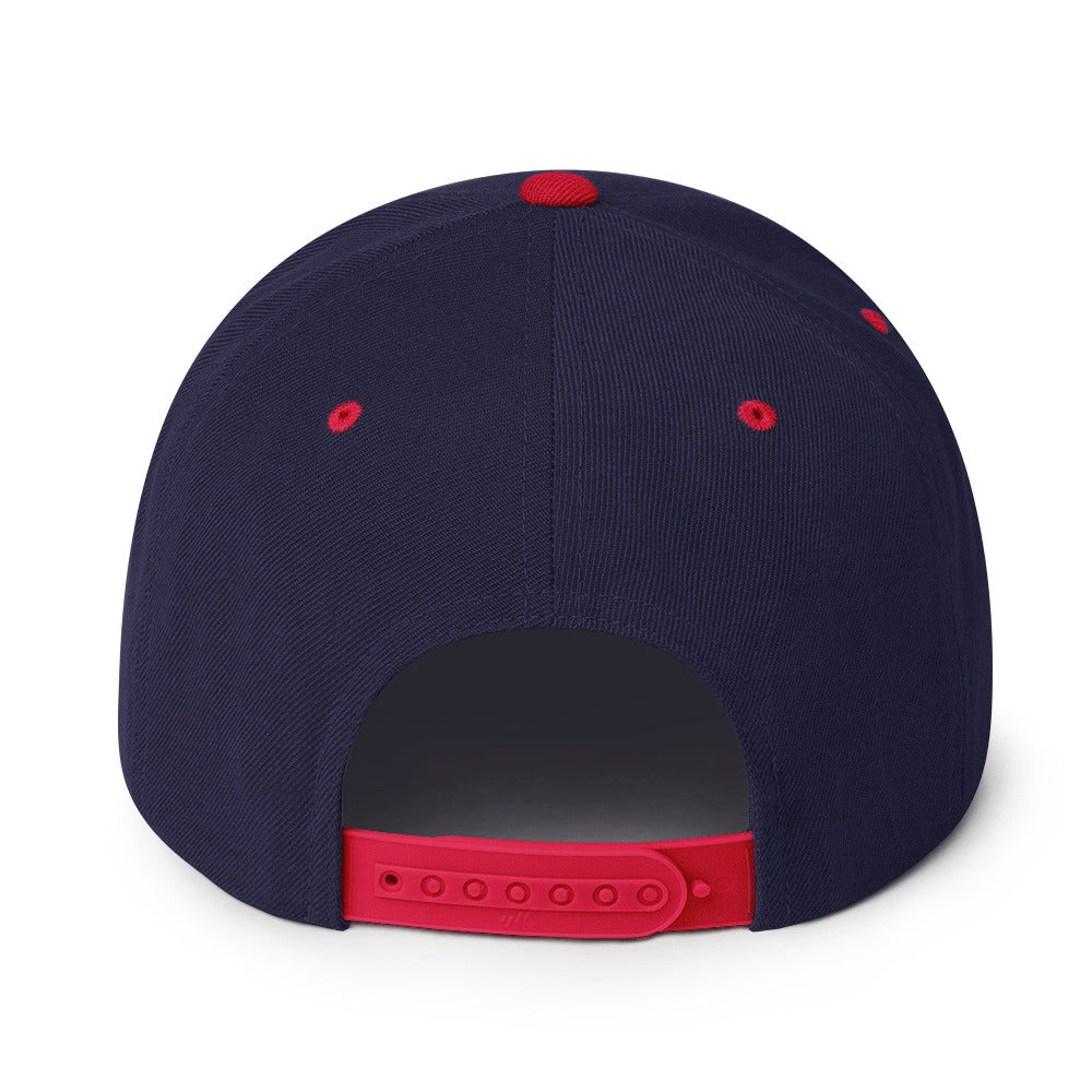 DANKO : Snapback Hat